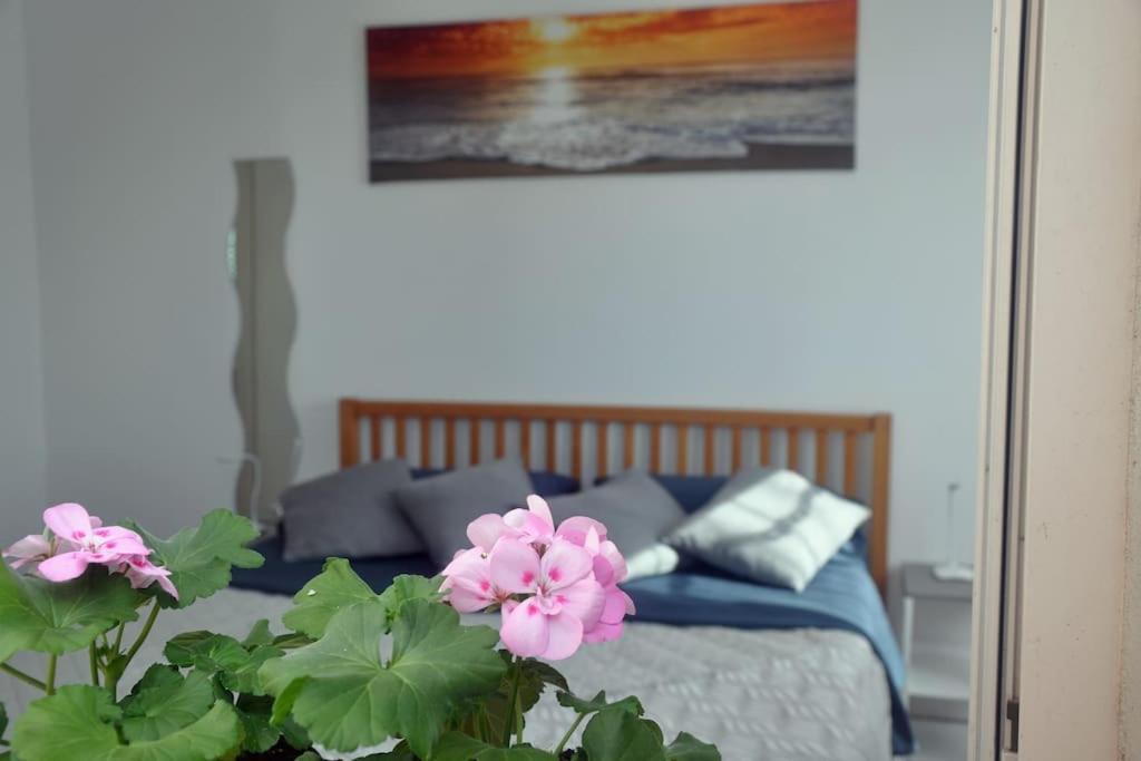 Casa Soprani - Relax Marchigiano Apartment Castelfidardo Ngoại thất bức ảnh